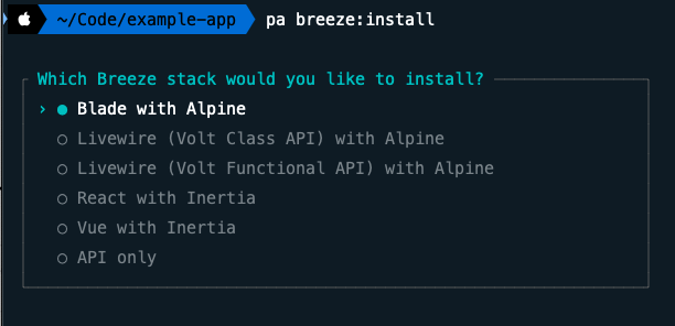 Laravel Prompt after running breeze:install